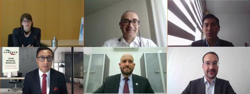 Screenshot of the distinguished speakers of the IV workshop